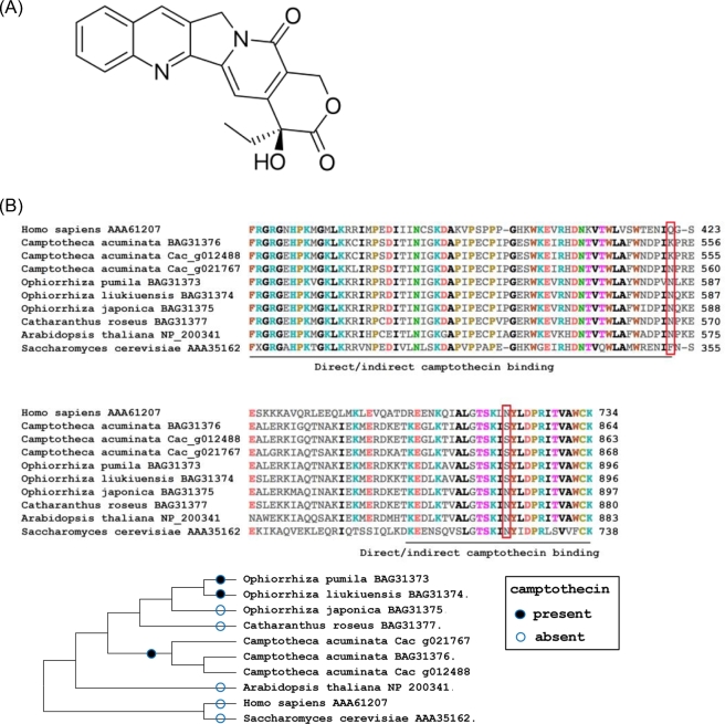 Figure 2: