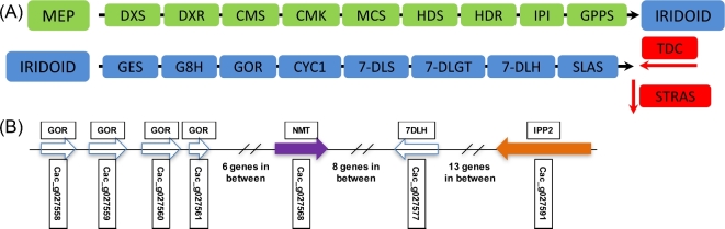 Figure 4: