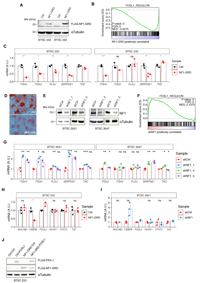 Figure 2—figure supplement 2.