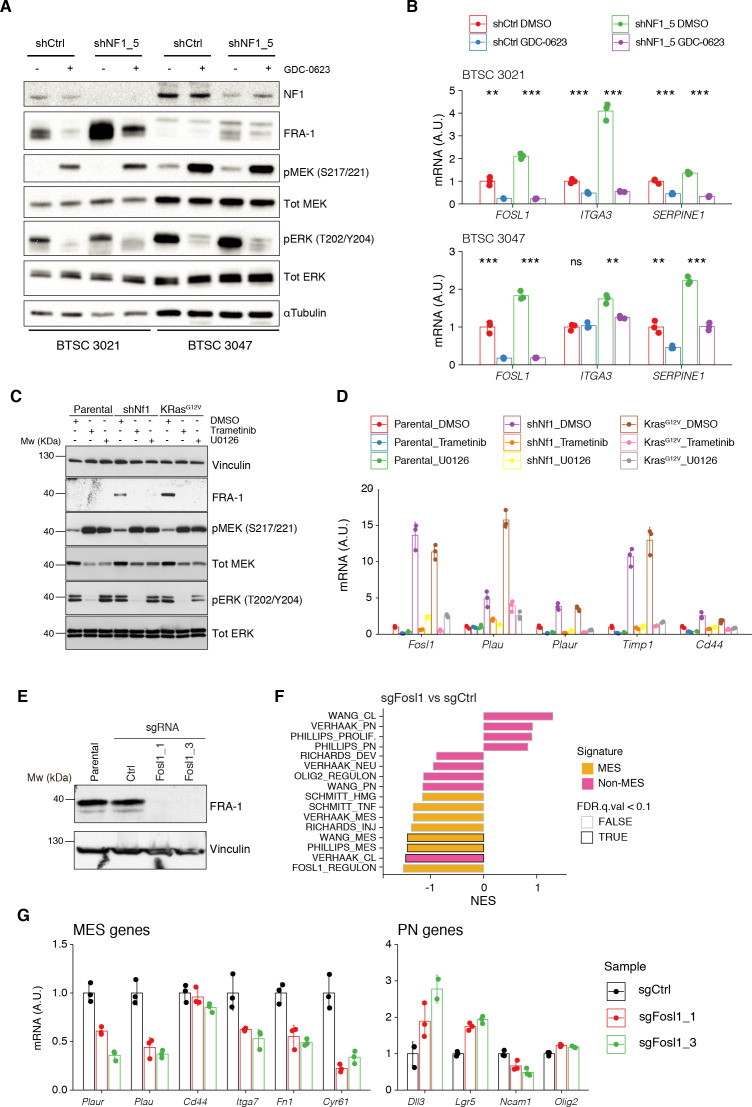 Figure 2—figure supplement 3.