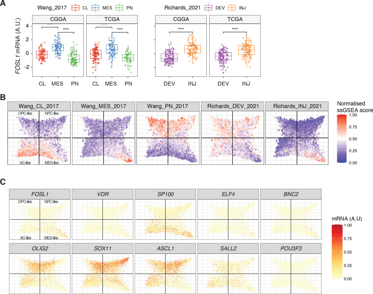 Figure 1—figure supplement 2.