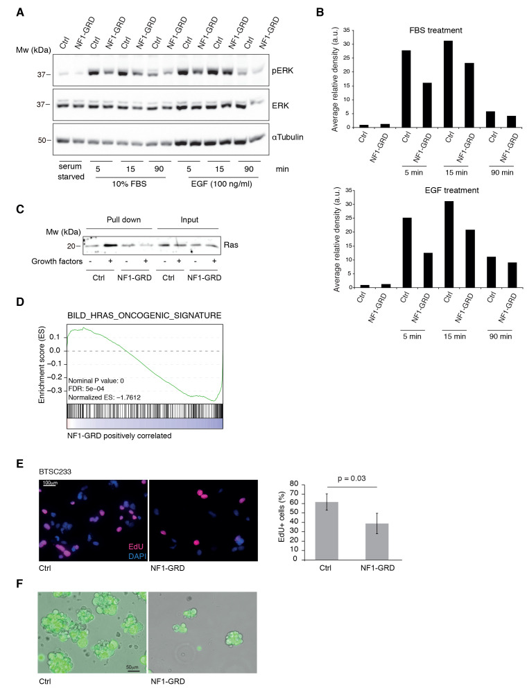 Figure 2—figure supplement 1.