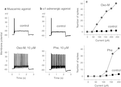 Fig. 2