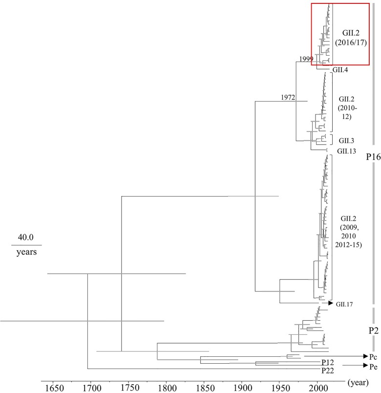 FIGURE 2