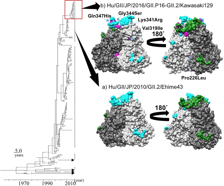 FIGURE 4