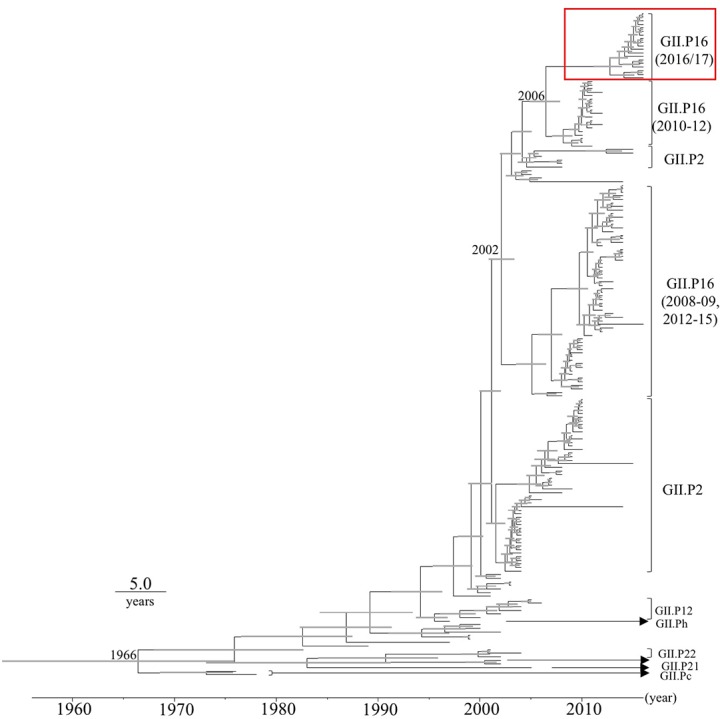 FIGURE 1