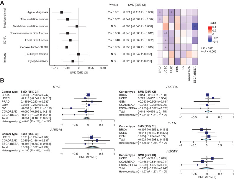 Figure 3. Germline–somatic association analyses in TCGA. A, The associations between PRS values and somatic/clinical features of cancer. Pooled effect size (standardized mean difference; SMD) of PRS values for evaluated features (left). Heatmap, indicating the SMD of PRS values for each feature in each cancer type (right). SCNA, somatic copy-number alteration; LOH, loss of heterozygosity. B, Forest plots of cancer type–specific and pooled SMD of PRS values for driver mutations. Genes listed as drivers in three or more cancer types were evaluated.