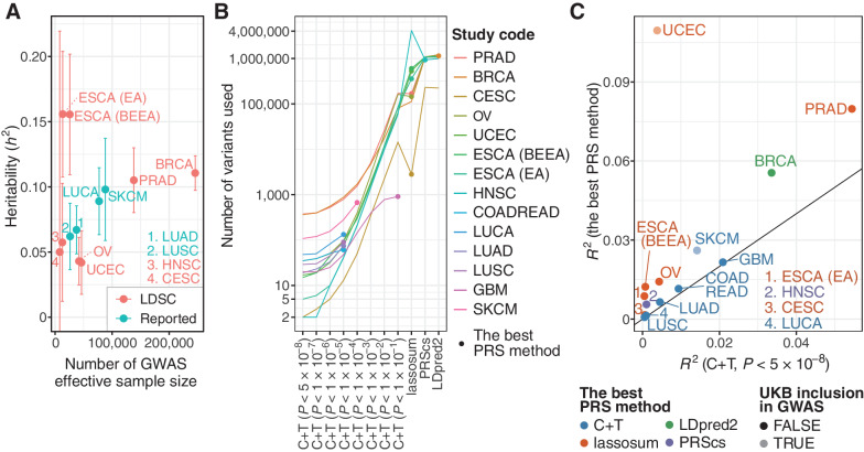 Figure 2. Construction and evaluation of PRSs. A, A scatter plot showing heritability (h2) and effective sample size of the GWAS summary statistics. Heritability was estimated by LD score regression (LDSC) for GWASs in which genome-wide variants were available. For others, heritability estimated by LDSC was obtained from the original articles if reported (Reported). GBM and COADREAD were excluded because heritability estimated by LDSC was not reported for these cancer types. Error bars represent 95% confidence interval. B, The number of variants used for calculating PRSs. For six GWAS summary statistics in which genome-wide variants were unavailable, only C+T was conducted for PRS calculation. C, The difference of Nagelkerke's R2 for the C+T PRS with genome-wide significant variants (i.e., P < 5×10−8; x-axis) and the best PRS (y-axis). It was calculated in UKB as a difference between the full model and the reduced model, including all covariates but PRS. UCEC and SKCM are shown in light colors because UKB was included in the GWAS cohort for these two cancer types.