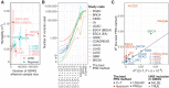 Figure 2. Construction and evaluation of PRSs. A, A scatter plot showing heritability (h2) and effective sample size of the GWAS summary statistics. Heritability was estimated by LD score regression (LDSC) for GWASs in which genome-wide variants were available. For others, heritability estimated by LDSC was obtained from the original articles if reported (Reported). GBM and COADREAD were excluded because heritability estimated by LDSC was not reported for these cancer types. Error bars represent 95% confidence interval. B, The number of variants used for calculating PRSs. For six GWAS summary statistics in which genome-wide variants were unavailable, only C+T was conducted for PRS calculation. C, The difference of Nagelkerke's R2 for the C+T PRS with genome-wide significant variants (i.e., P < 5×10−8; x-axis) and the best PRS (y-axis). It was calculated in UKB as a difference between the full model and the reduced model, including all covariates but PRS. UCEC and SKCM are shown in light colors because UKB was included in the GWAS cohort for these two cancer types.
