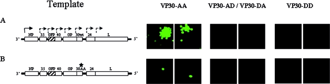 FIG. 4.