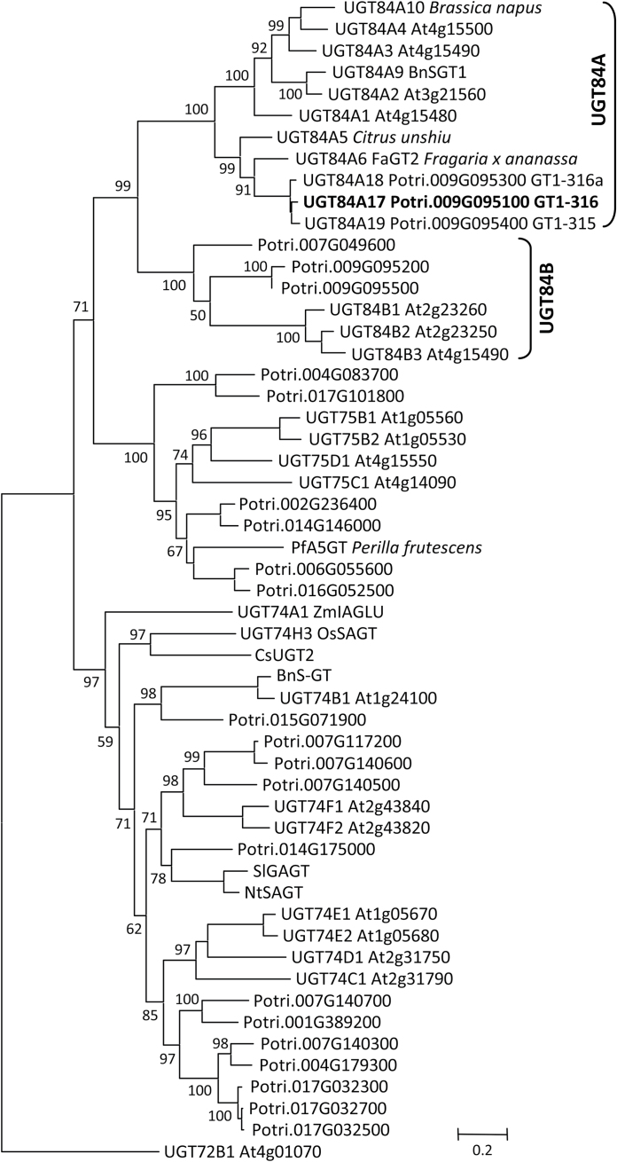 Fig. 2.