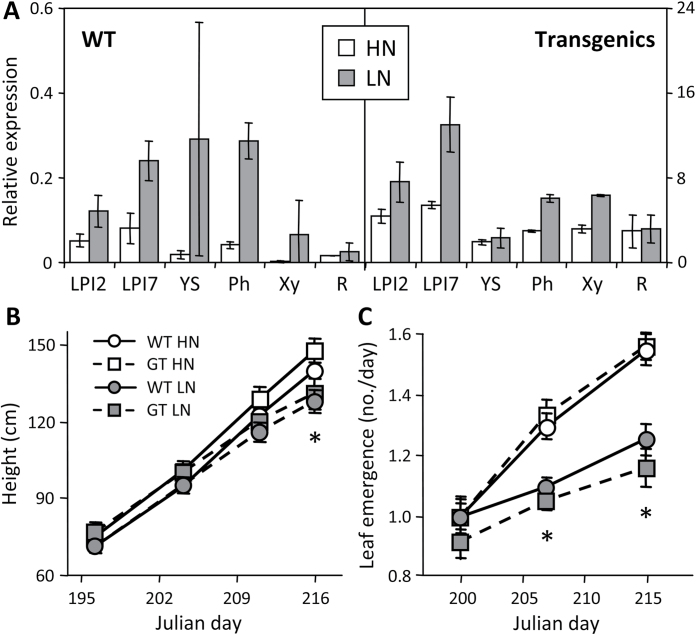 Fig. 4.