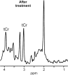 Figure 5b: