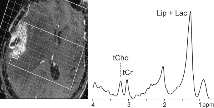 Figure 3b: