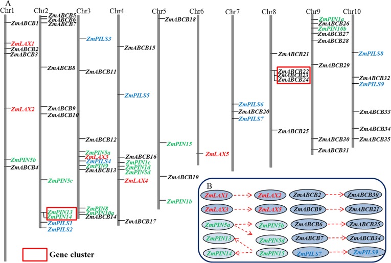 Fig 1