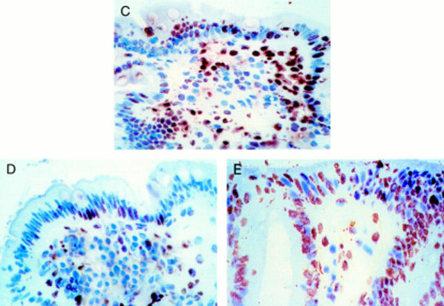 Figure 3  