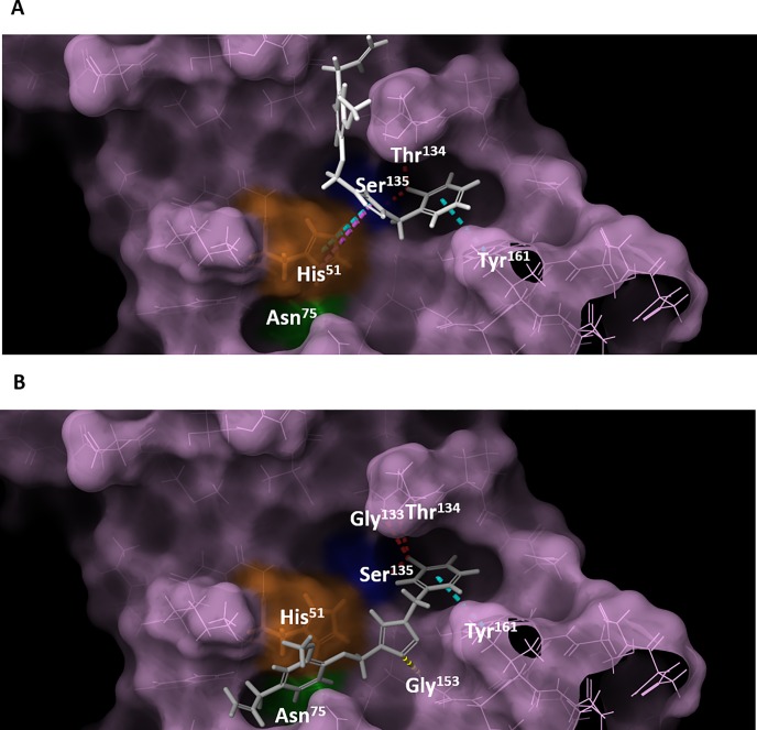 Fig 10