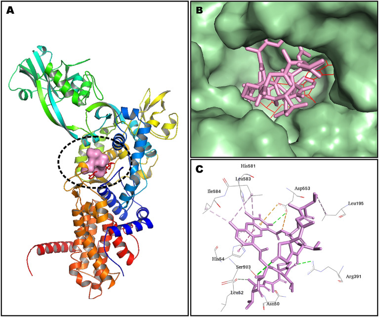 Figure 11