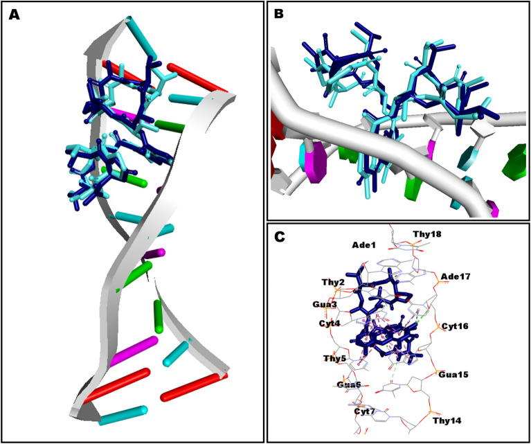 Figure 10