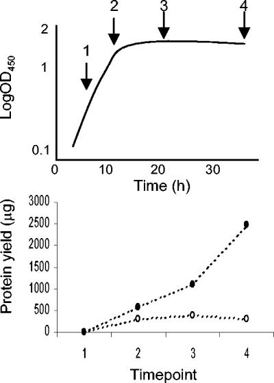 FIG. 1.