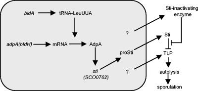 FIG. 7.