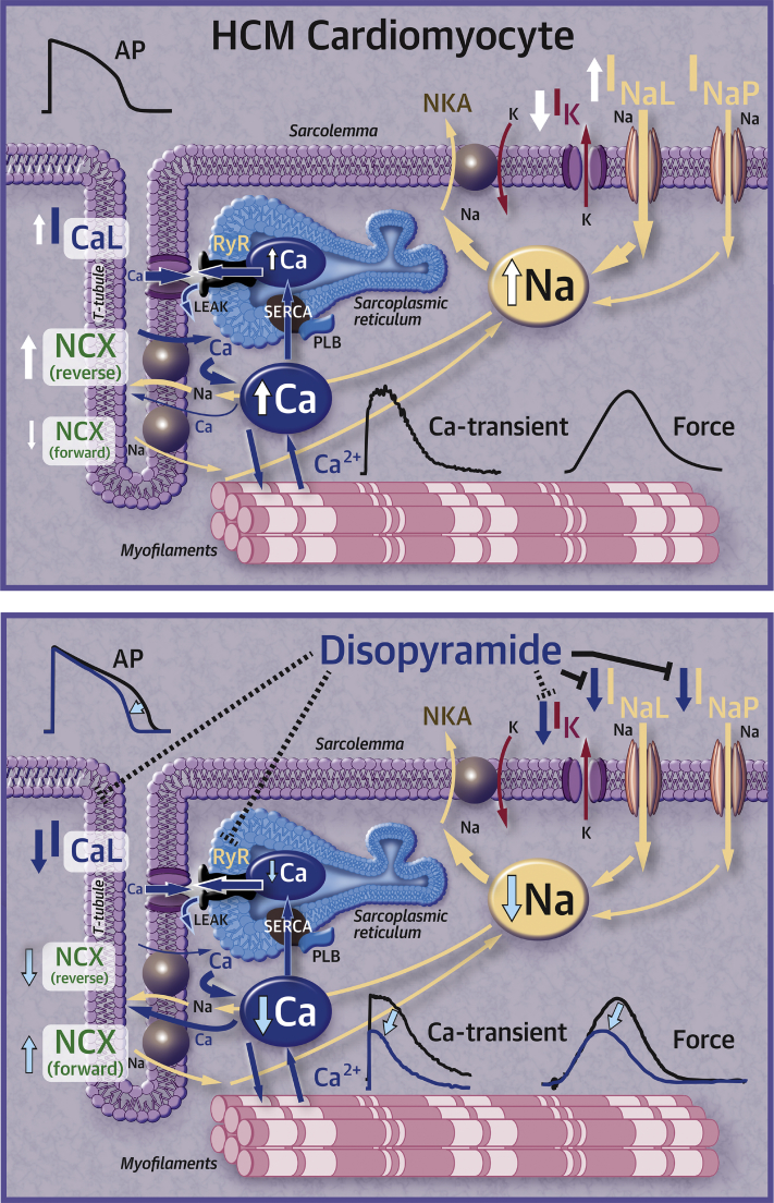 Figure 7