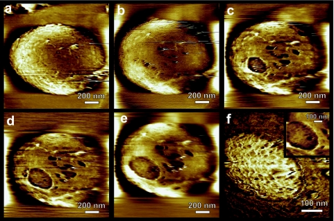 FIG. 7.