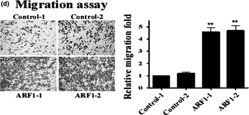 graphic file with name CAS-108-277-g001.jpg