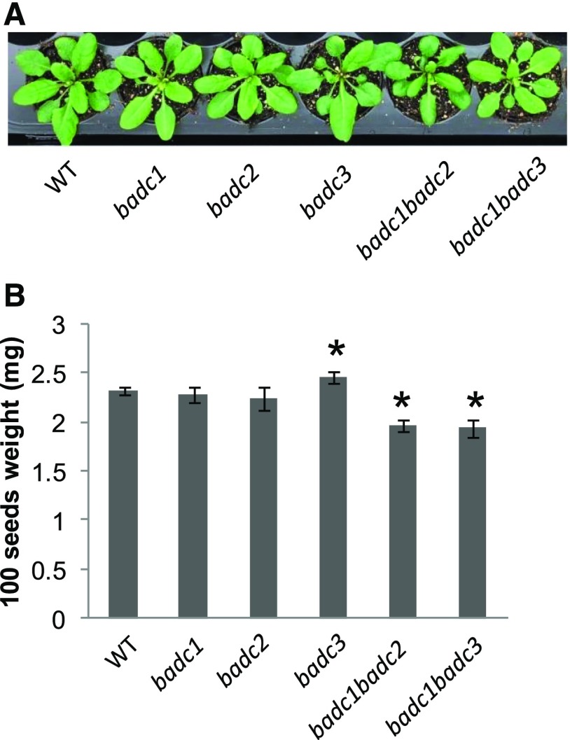 Figure 5.