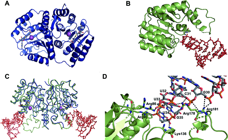 Figure 5.