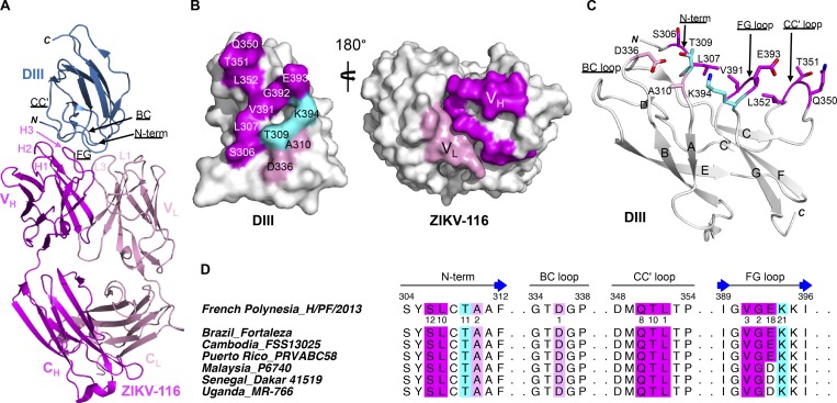 Figure 2.