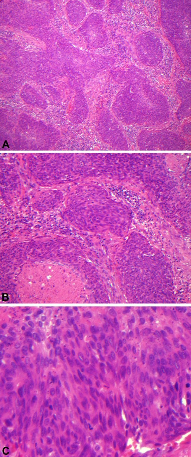 Fig. 1