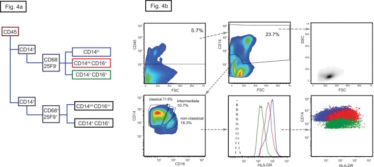 Fig 4