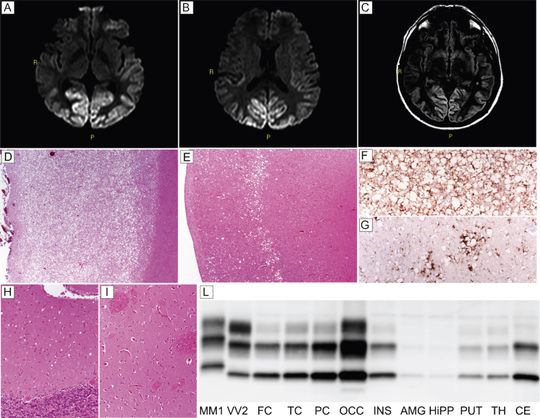 Fig.3