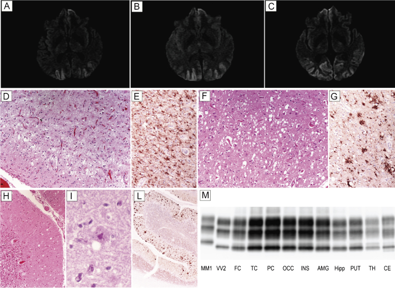 Fig.2