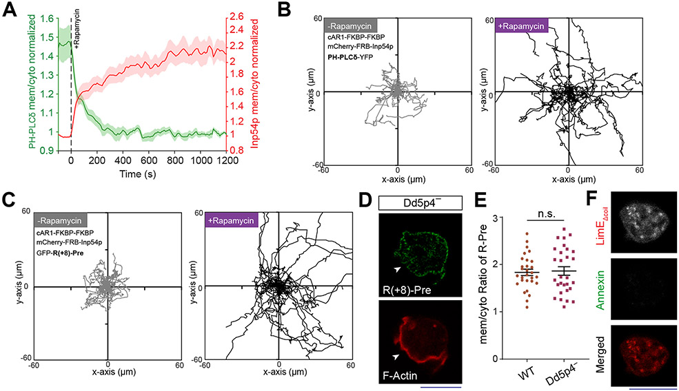 Extended Data Figure 6: