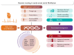 Graphical Abstract