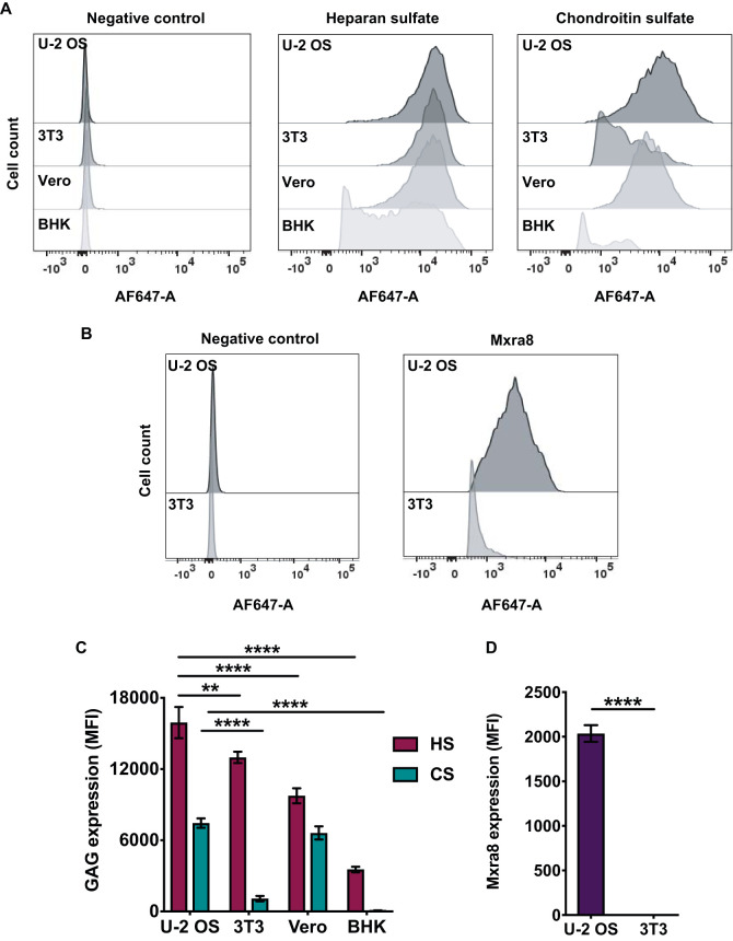 FIG 4