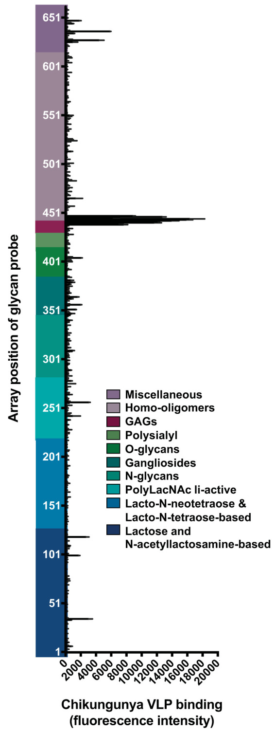 FIG 1