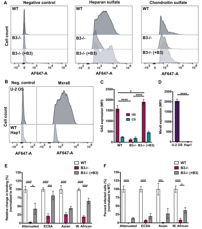 FIG 6