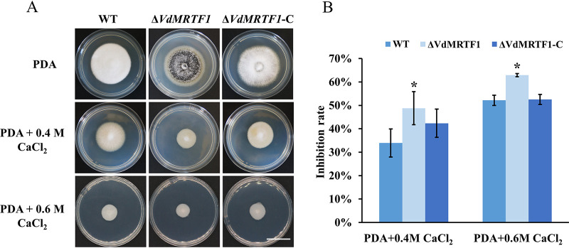 FIG 3