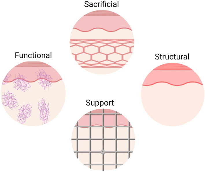 FIGURE 3