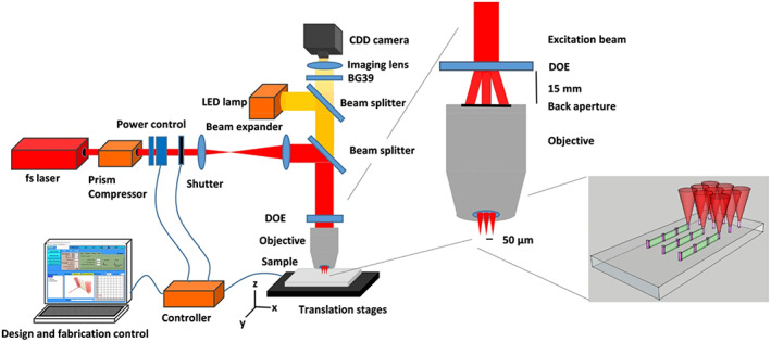 FIGURE 2