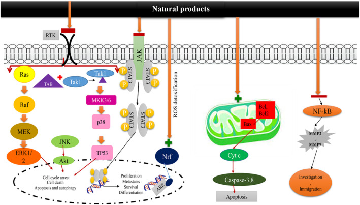 FIGURE 3