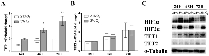 Figure-2