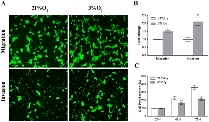 Figure-3