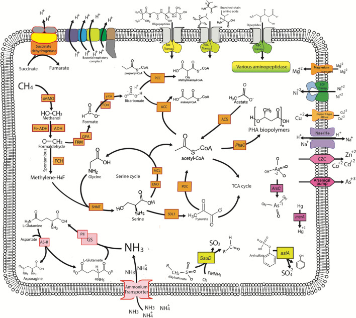 Figure 5