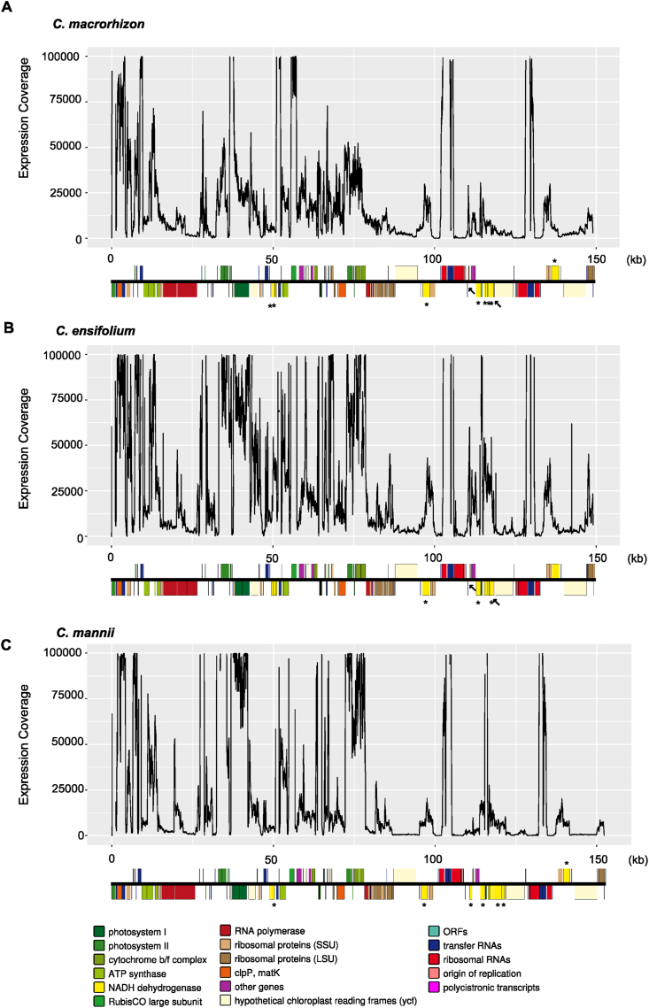 Fig. 2