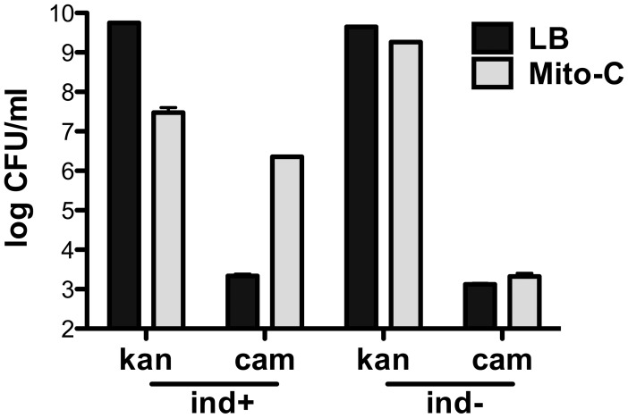 Figure 5