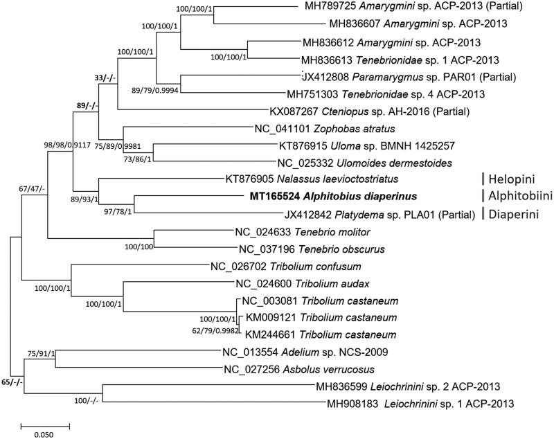 Figure 1.